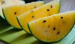 吃瓜天堂免费吃瓜,揭秘“吃瓜天堂”免费吃瓜的秘密